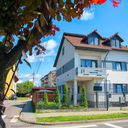 Vila Roza Sighetu Marmaţiei Exteriör bild